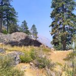 Graham Harbor Boat-In Campground