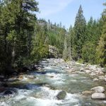 Spruce Grove Campground