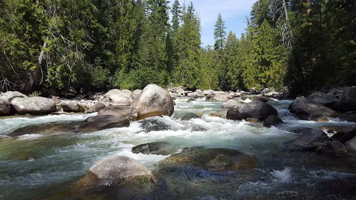 Spruce Grove Campground 1