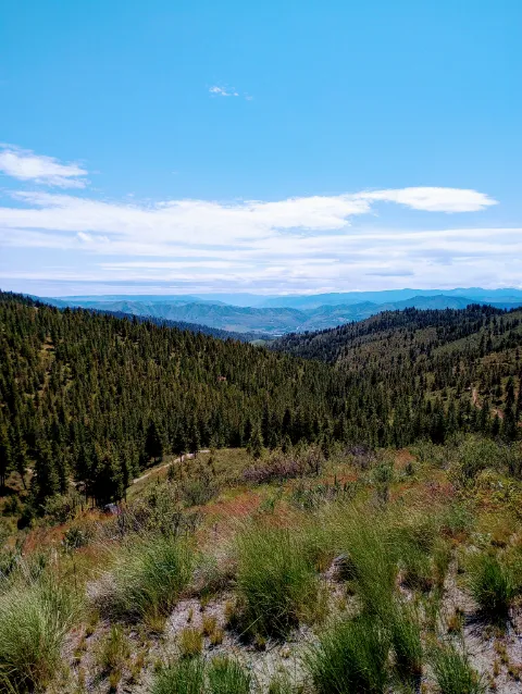 Chelan Mountain View Ranch 1