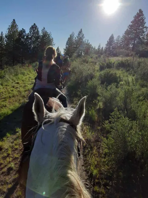 Chelan Mountain View Ranch 0