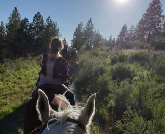 Chelan Mountain View Ranch