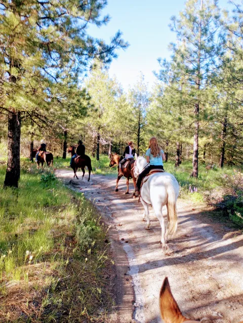 Chelan Mountain View Ranch 3