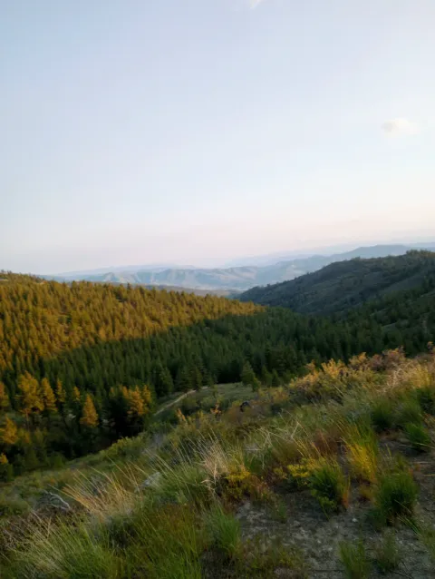 Chelan Mountain View Ranch 4