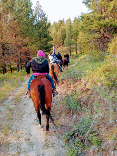 Chelan Mountain View Ranch 6