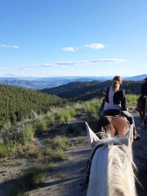 Chelan Mountain View Ranch 5