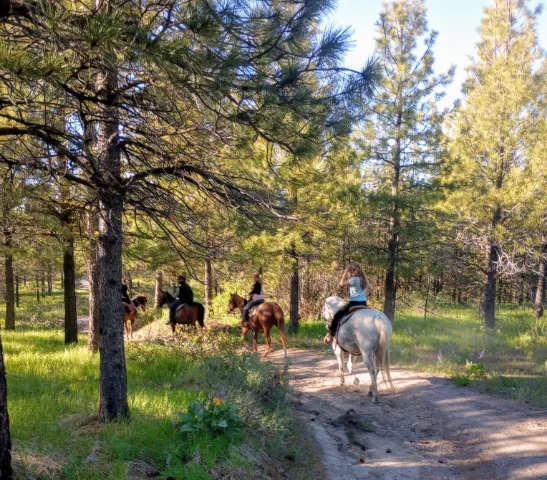 Chelan Mountain View Ranch 7