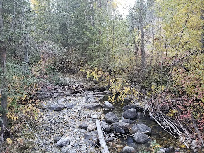 Foggy Dew Campground 3