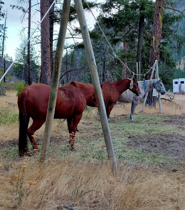 Whistlin' Pine Ranch 9