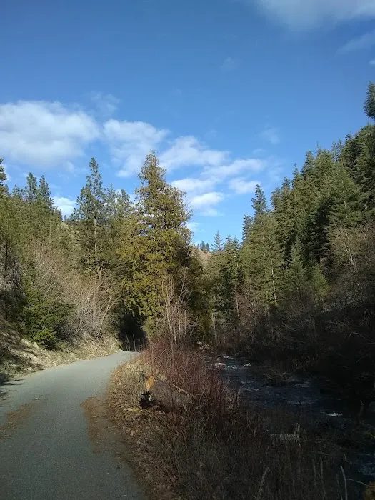 Pine Flats Campground 9