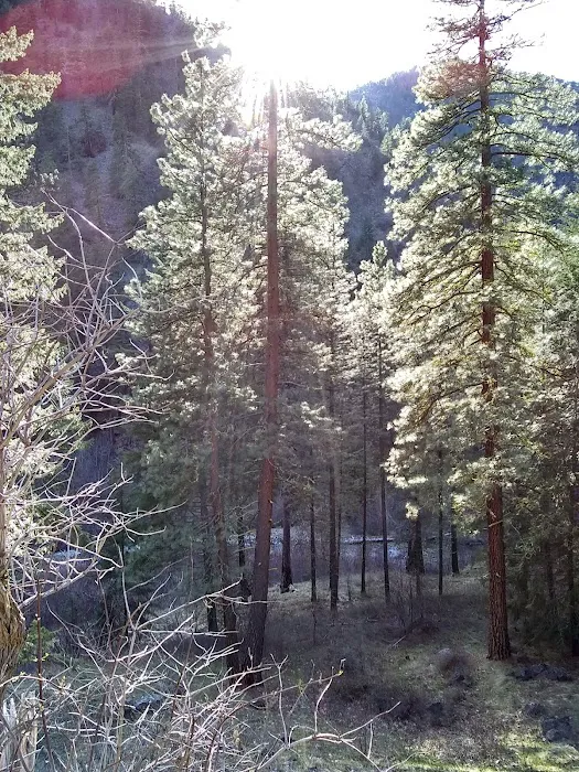 Pine Flats Campground 8