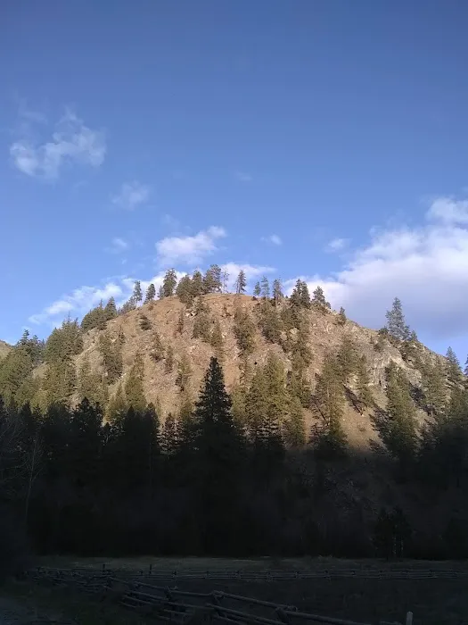 Pine Flats Campground 4