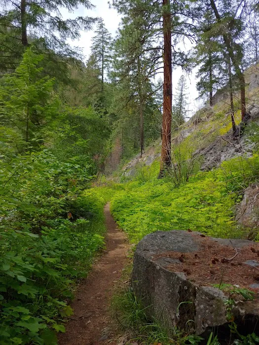 Pine Flats Campground 3