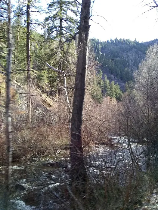 Pine Flats Campground 1