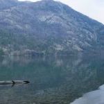 Manly Wham Campground