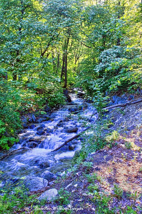 Purple Point Campground 3