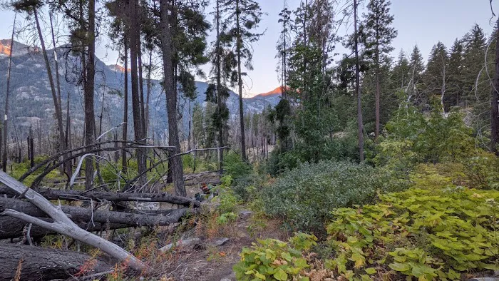 Rainbow Bridge Campground 1
