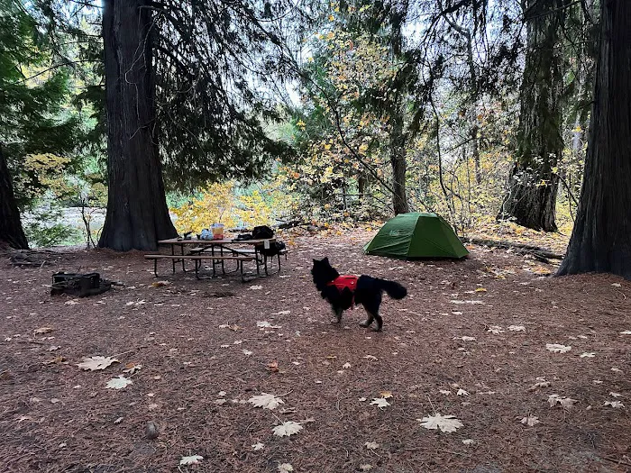 Harlequin Campground 9