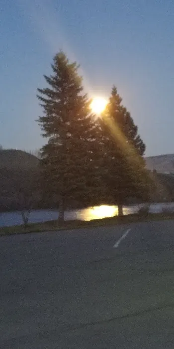 Bridgeport RV Parks/Marina Park 3