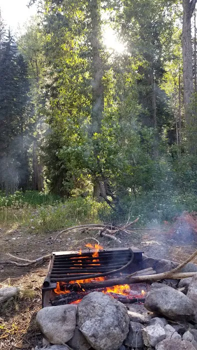 Phelps Creek Campground/Horse Camp 0