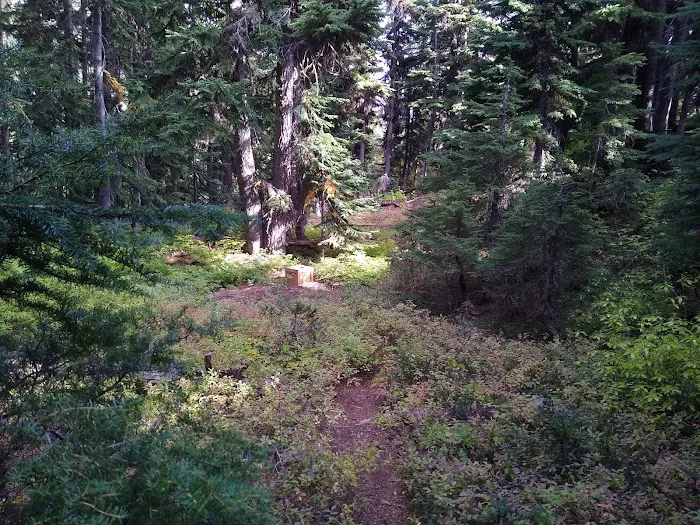 Rainbow Lake Campground 8