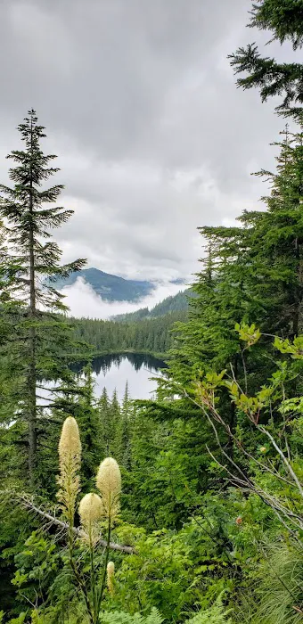 Rainbow Lake Campground 7