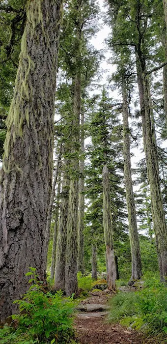 Rainbow Lake Campground 3