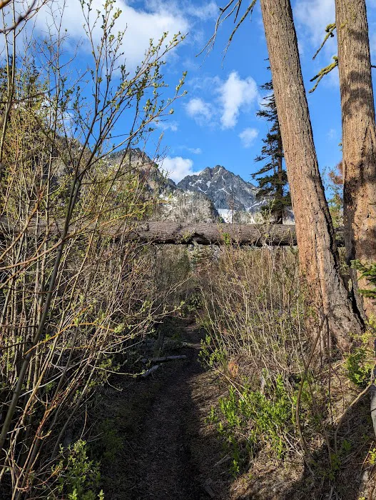 Eightmile Lake Campground 7