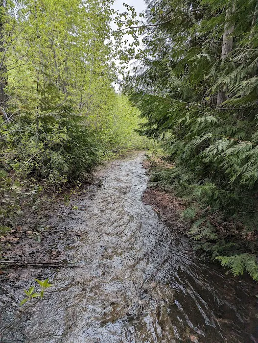 Eightmile Lake Campground 5