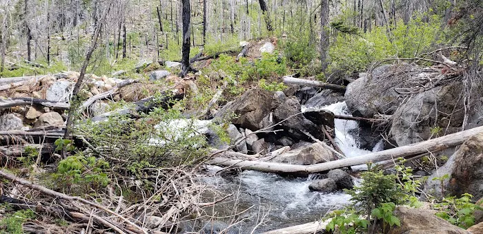 Eightmile Lake Campground 4