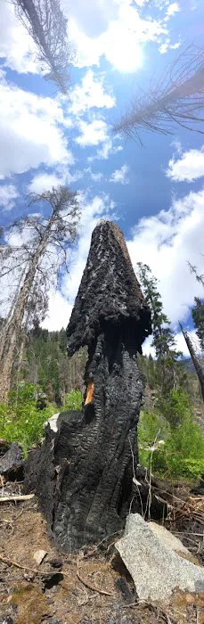 Eightmile Lake Campground 3