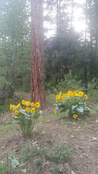Eightmile Campground 1