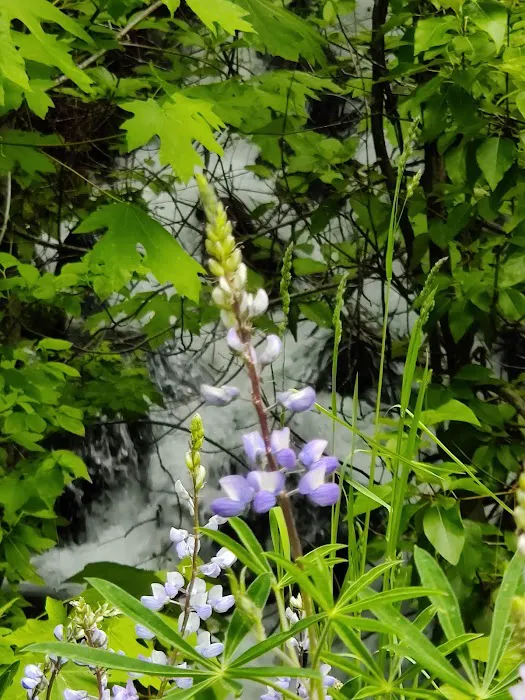 Bridge Creek Group Site 3