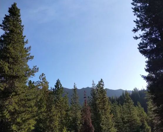 De Roux Campground