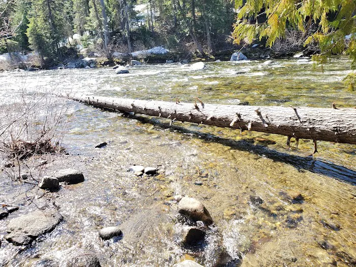 Lower Johnny Creek Campground 6
