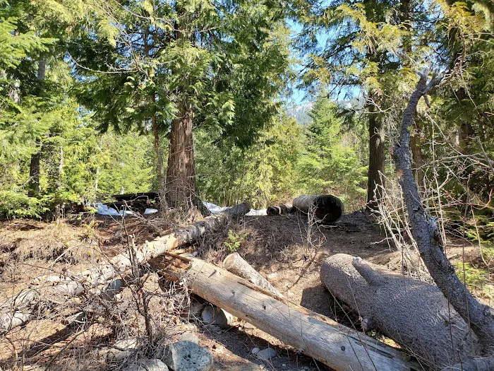 Lower Johnny Creek Campground 8