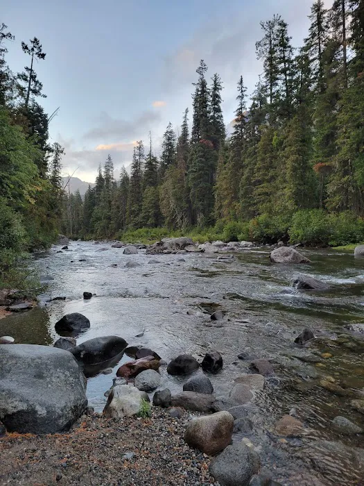 Lower Johnny Creek Campground 3