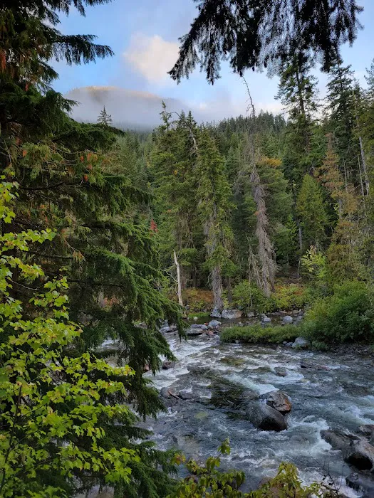 Lower Johnny Creek Campground 4