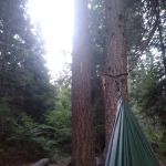 Upper Johnny Creek Campground