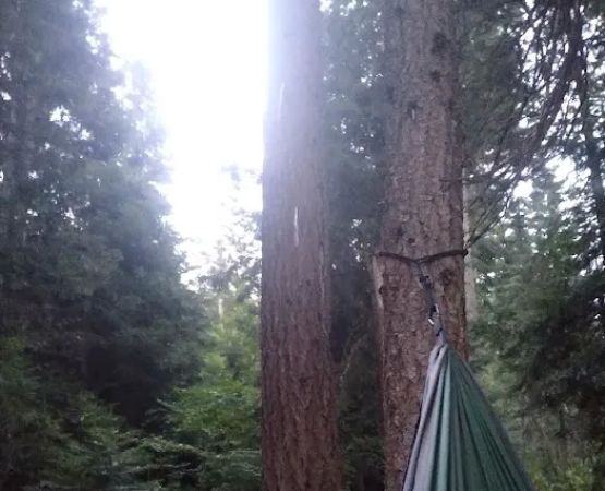 Upper Johnny Creek Campground
