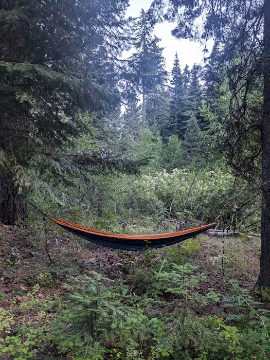 Upper Johnny Creek Campground 3