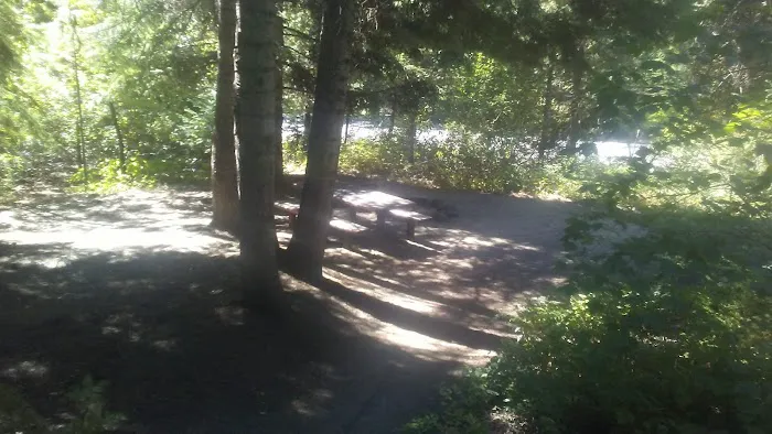Upper Johnny Creek Campground 7