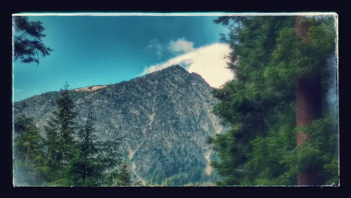 Upper Johnny Creek Campground 6