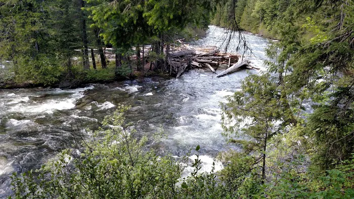 Upper Johnny Creek Campground 5