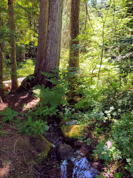 Chatter Creek Campground 6