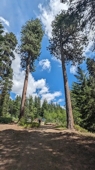 Rock Island Campground 4