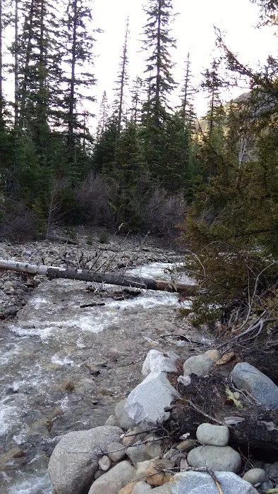 Blackpine horse camp 6