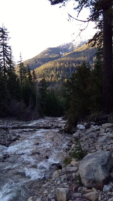 Blackpine horse camp 4
