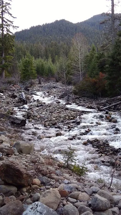 Blackpine horse camp 2