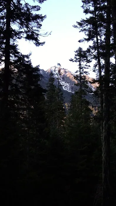 Blackpine horse camp 1